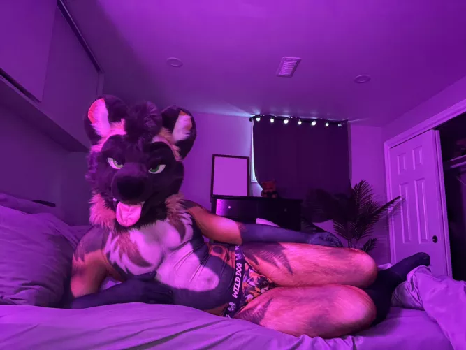 Been waiting for you, come lay down