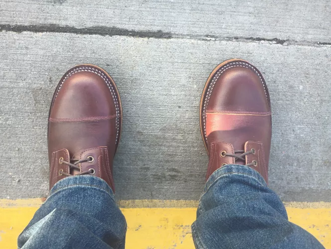 Bordon Tukanos in Burgundy