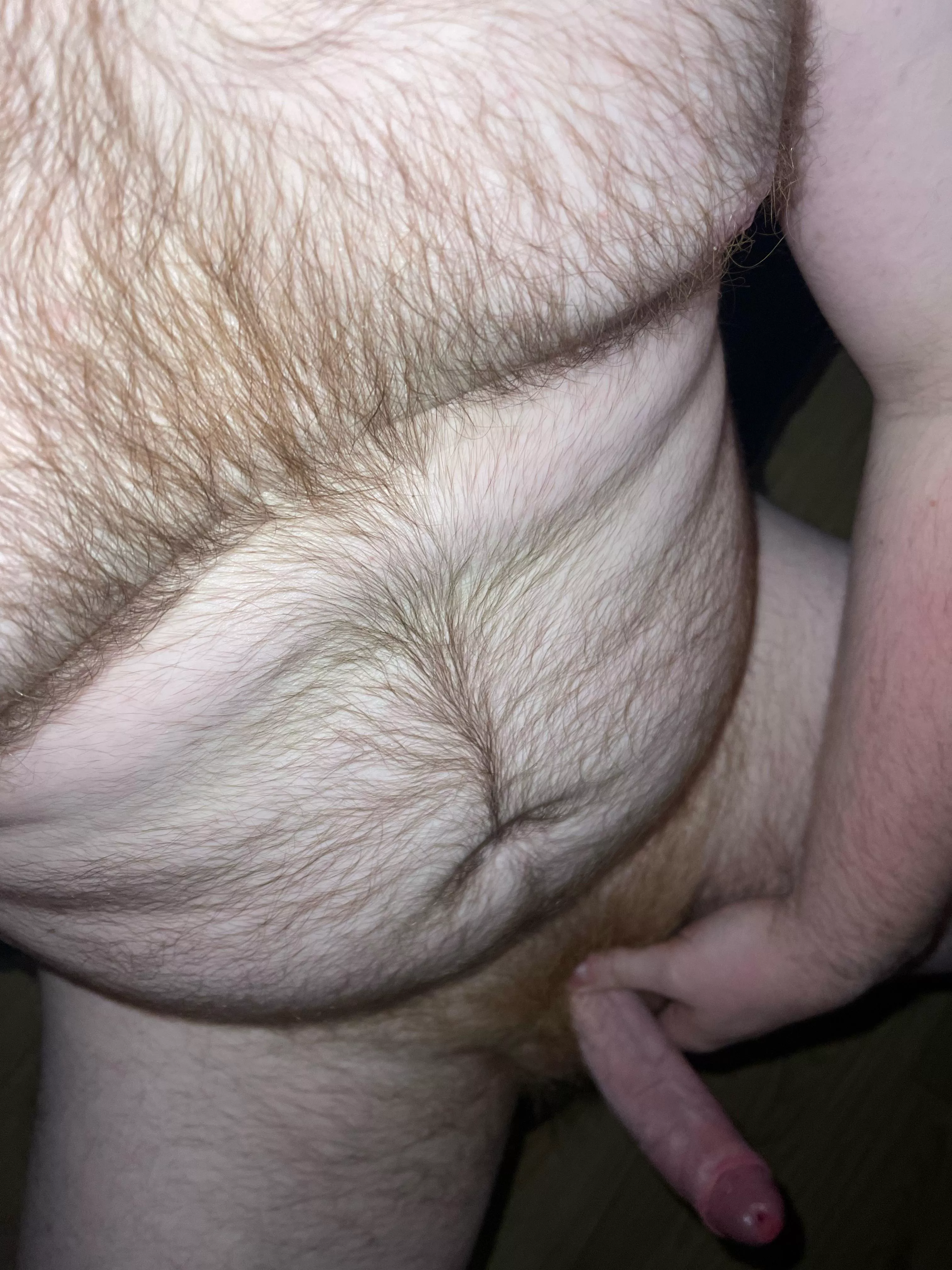 British ginger here. (29)