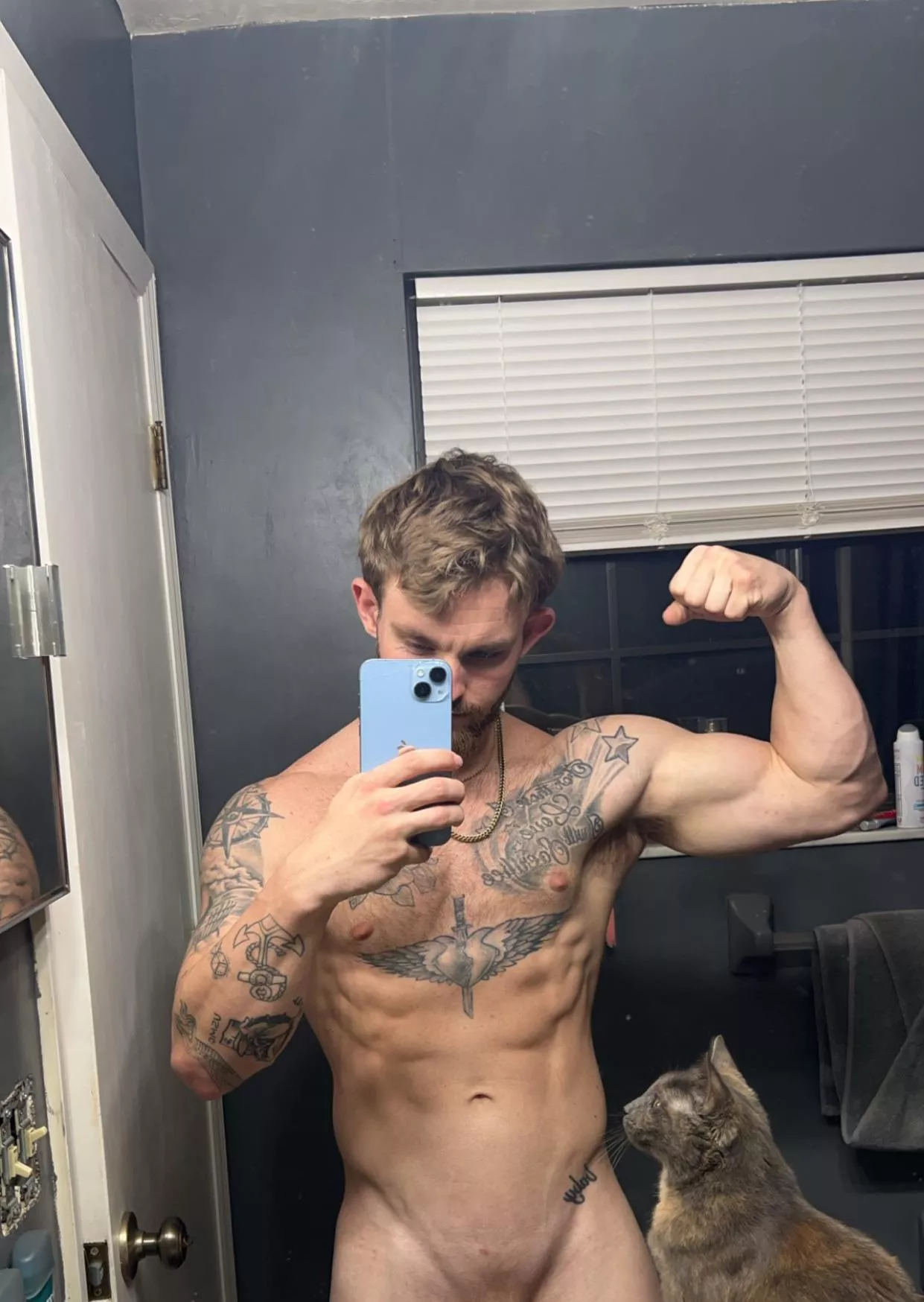 do you like my kitty