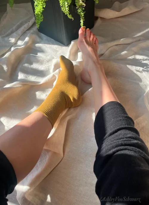 Do you prefer with socks? ❤️