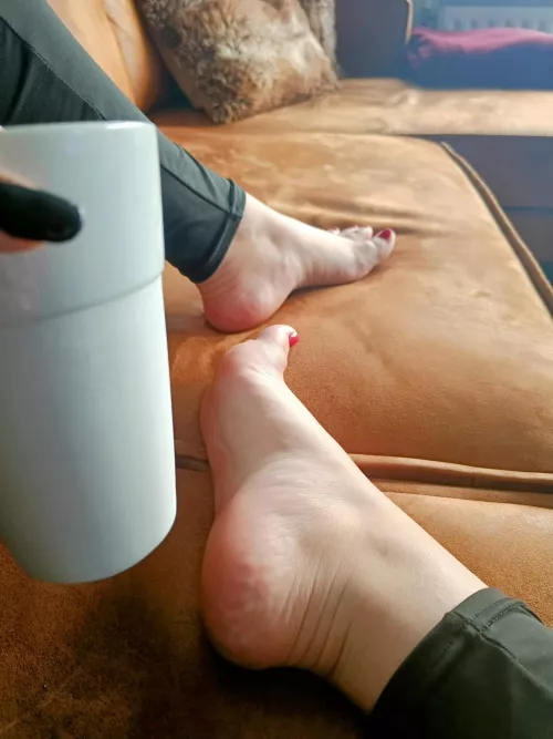 Good morning from the Netherlands! ☕🇳🇱