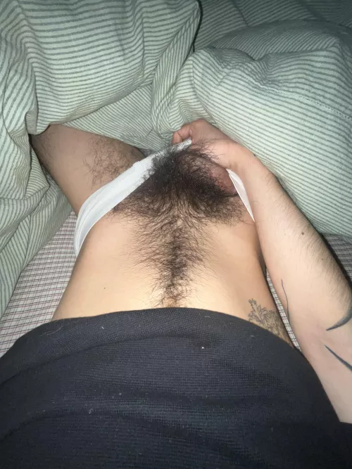 Haven’t trimmed in so long