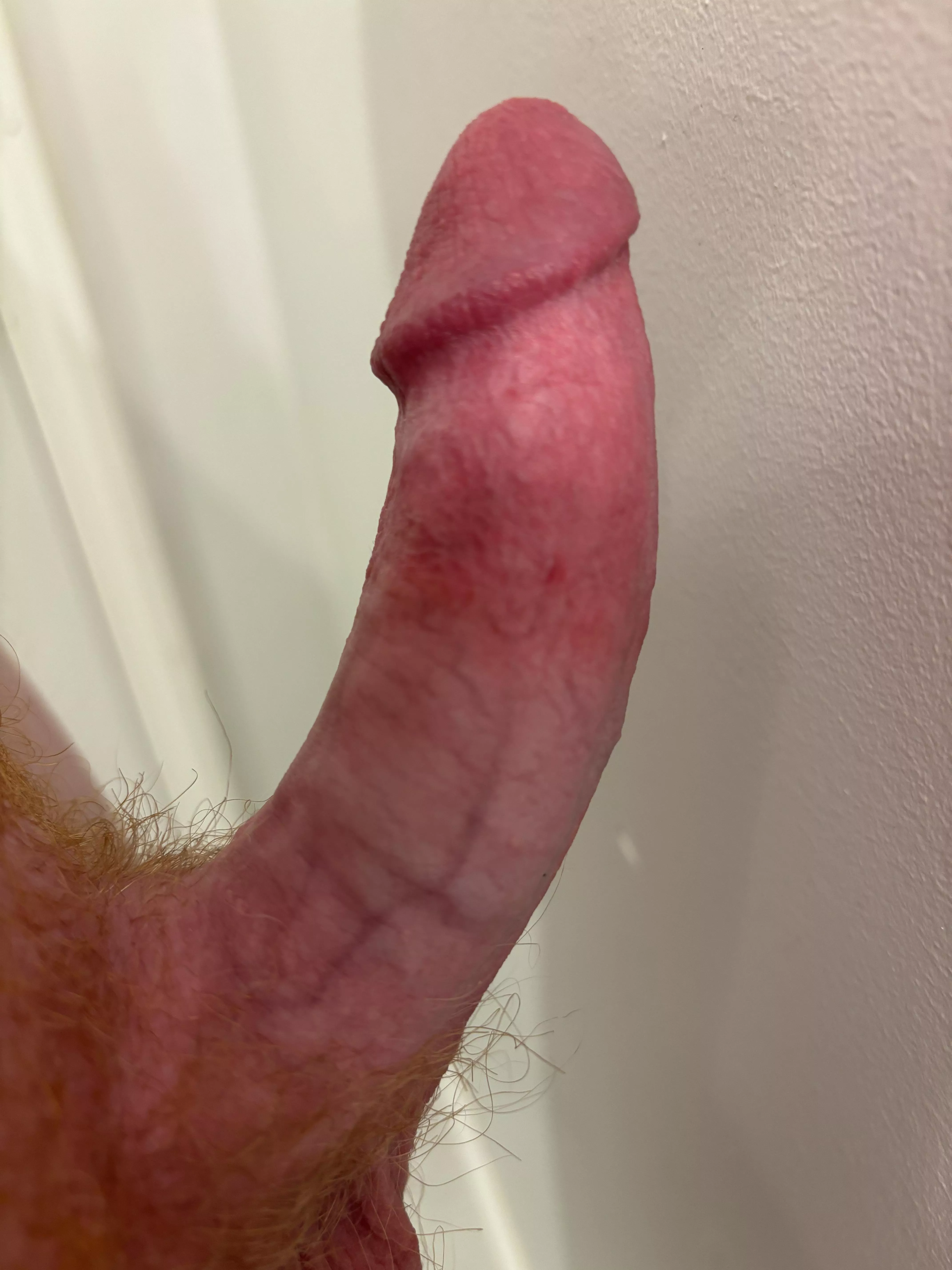 Here is my ginger cock (18)