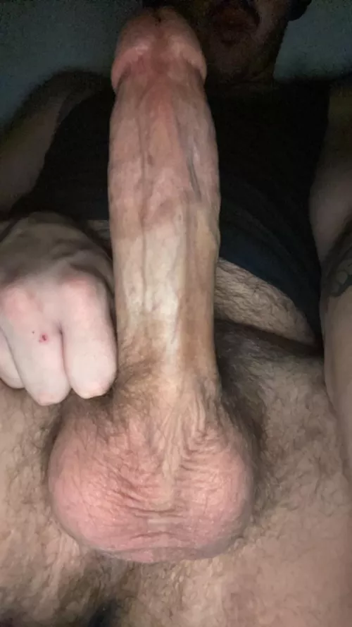 How do you like the view?