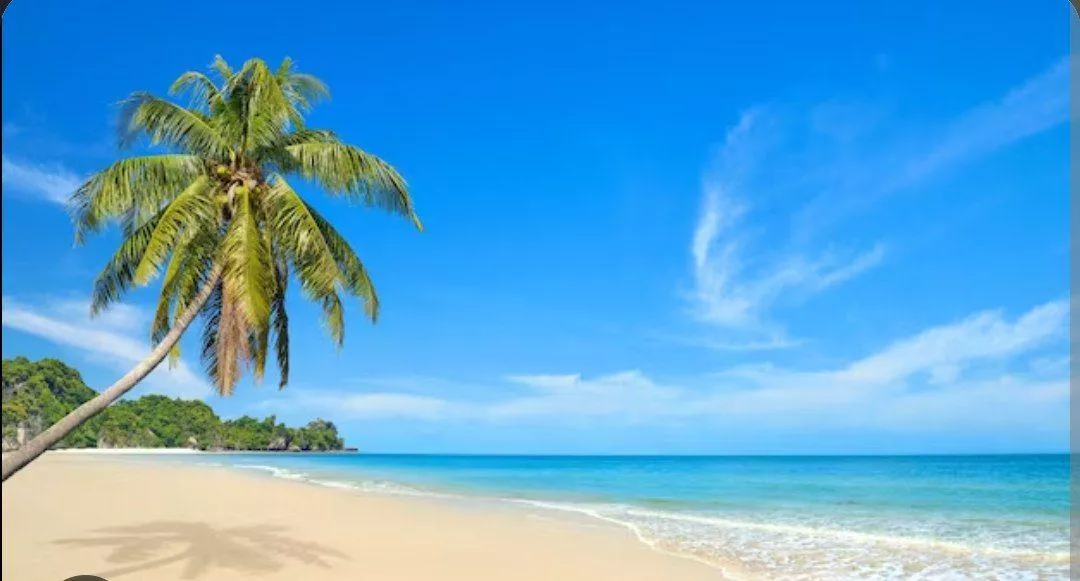 I love the beach... 💋👙🏖️