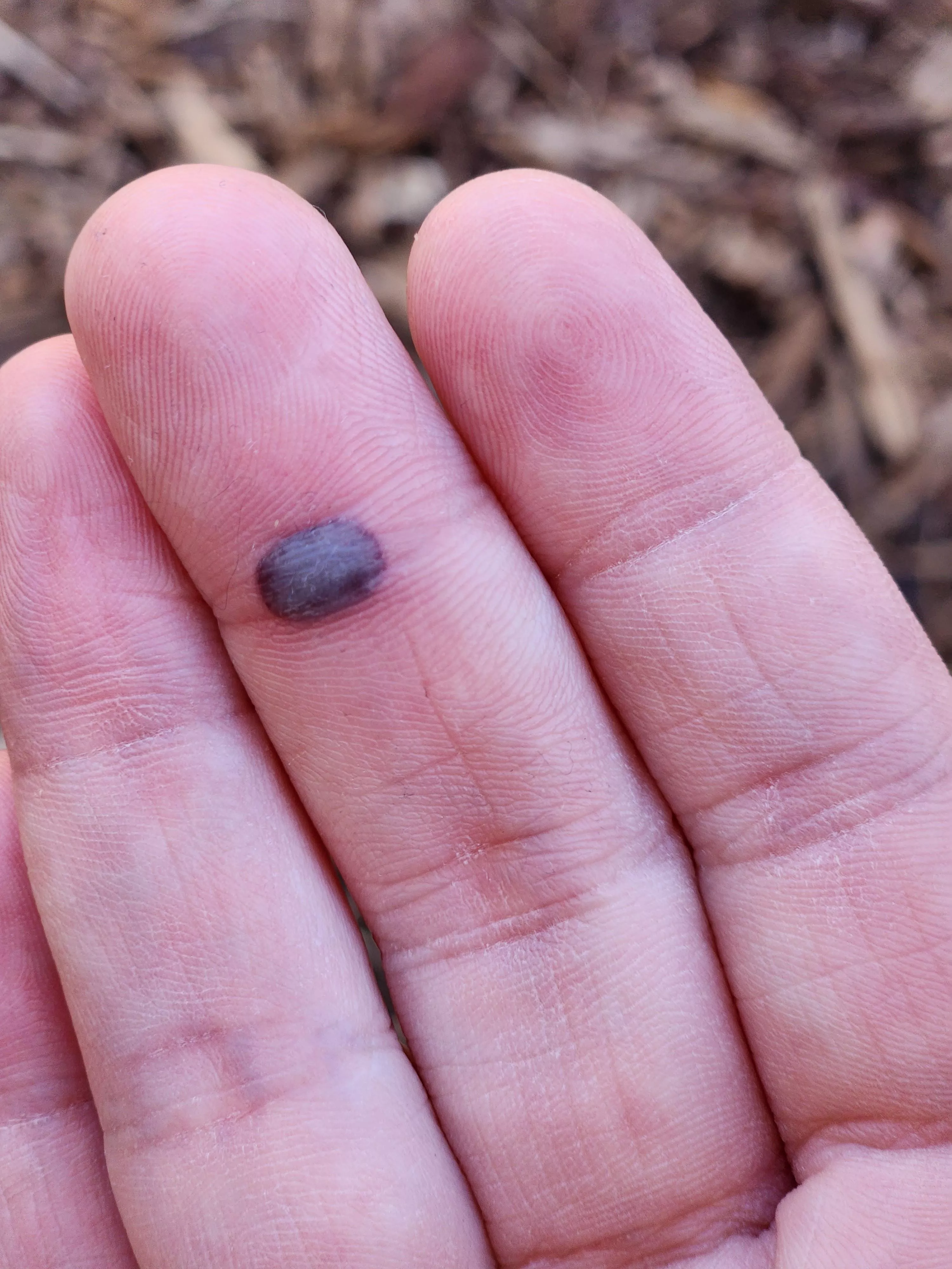 If this gets 17 upvotes I'll post a video