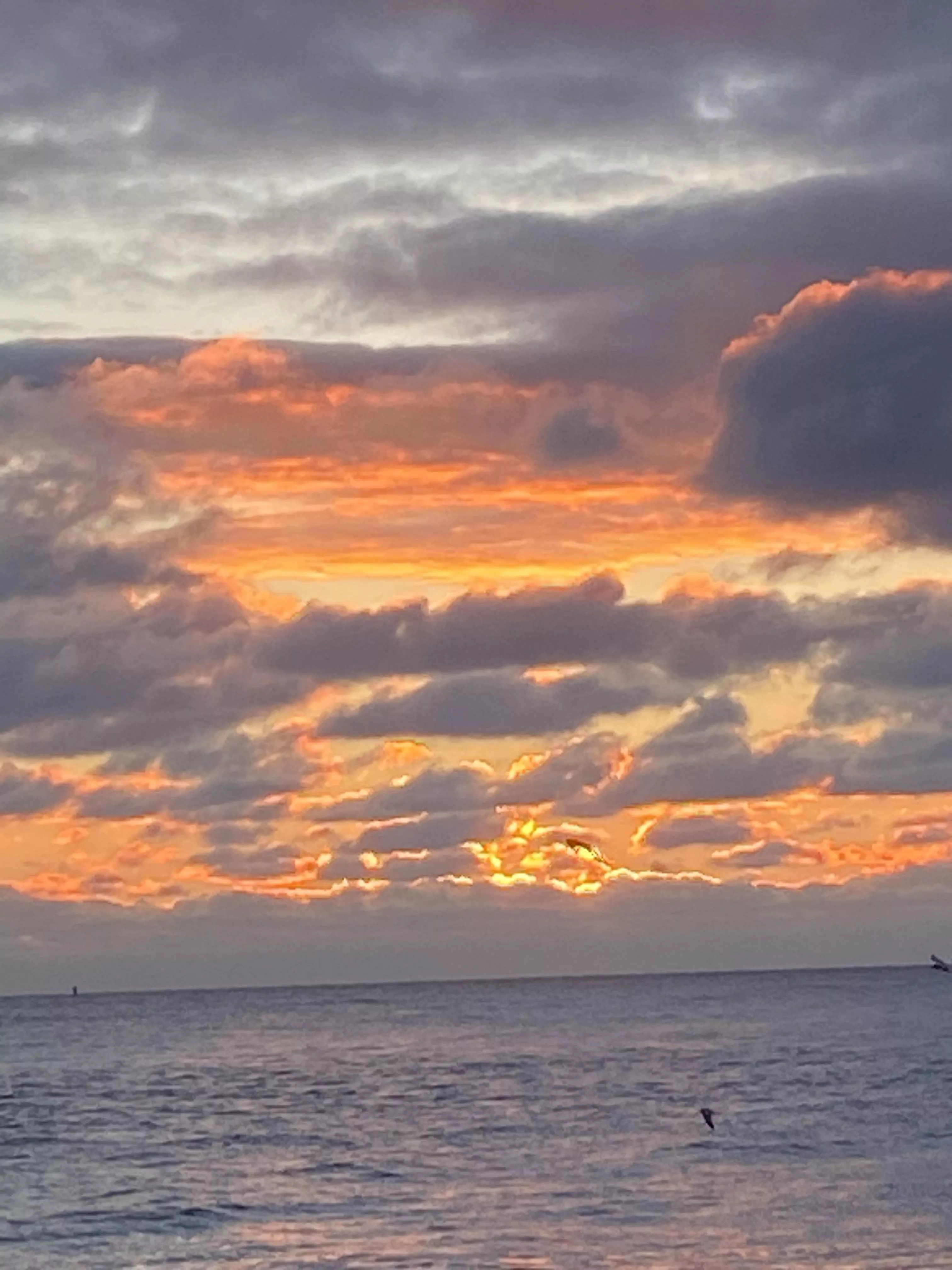 It’s been nine days since the sun has risen like this, enough of the gloominess from the New Jersey shore🤙🏻🎶🎶