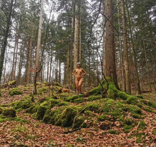 Let's get lost in the woods