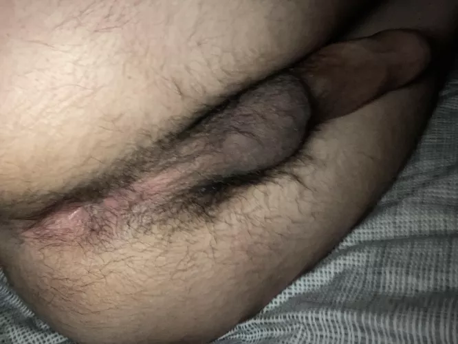 Like my tight hairy hole?