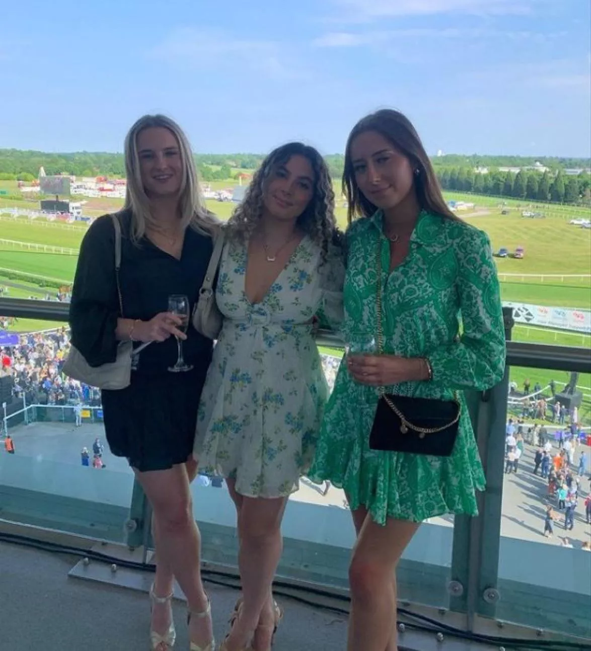 Looking For Horse Cocks