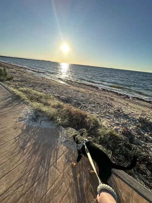 Love the beach views in the morning