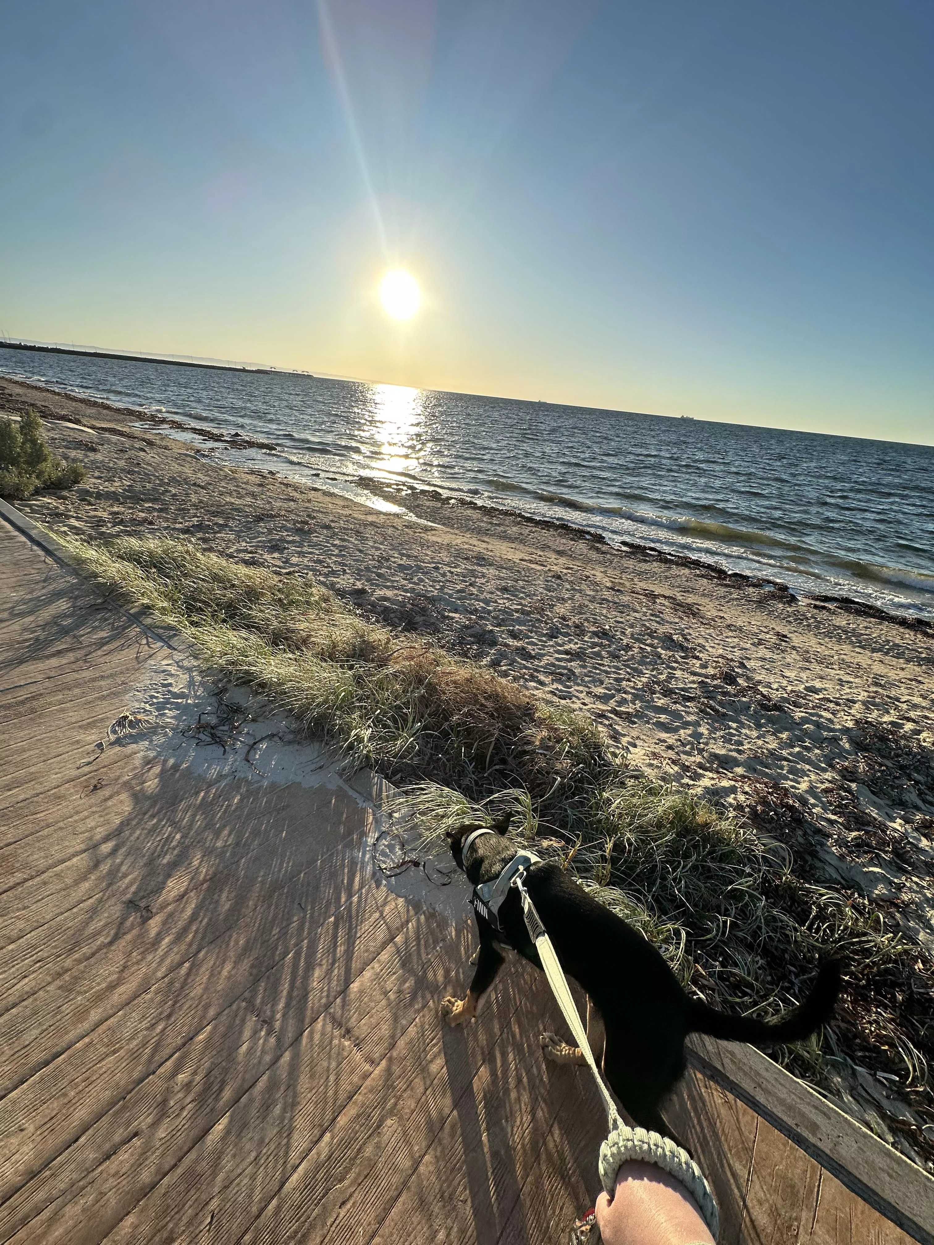 Love the beach views in the morning
