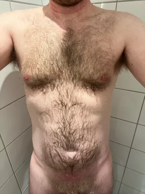 M49 - hairy chest