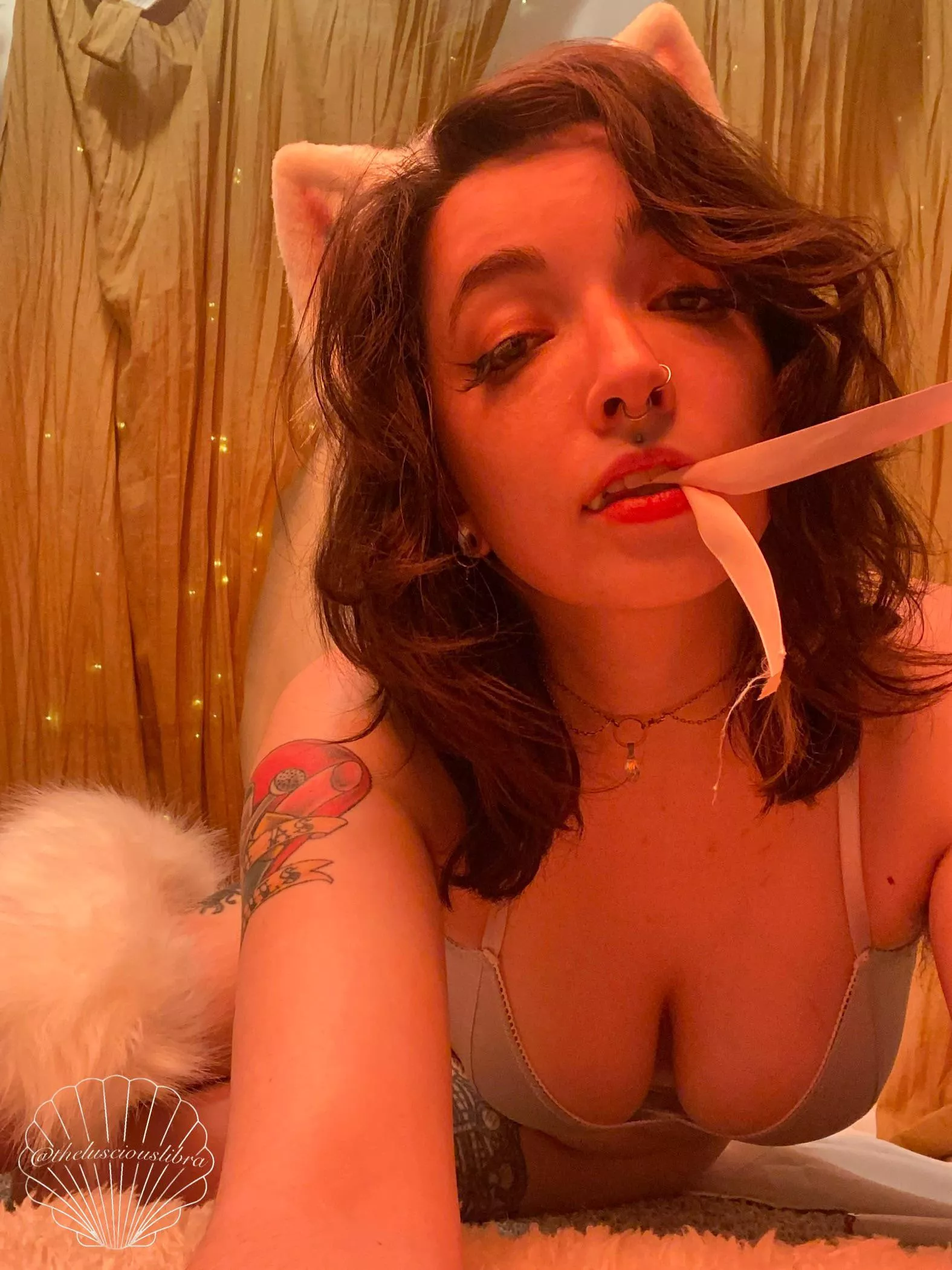 One spoiled kitty 🐾