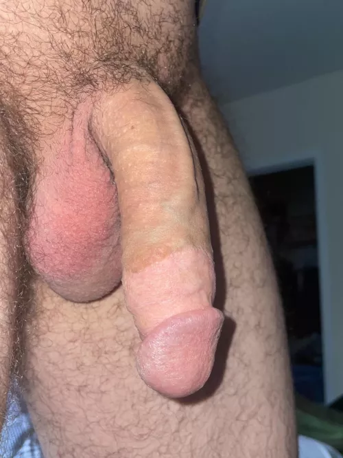 POV of my big softie before you stiffen it up ;)