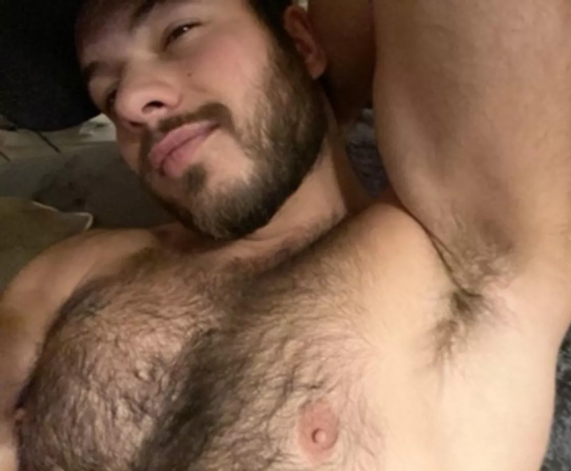 Put your face in it 🐽