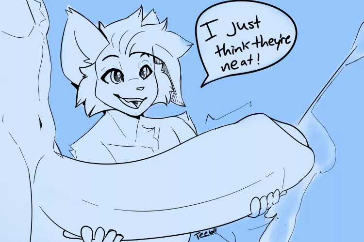 They're just neat (Teebll)