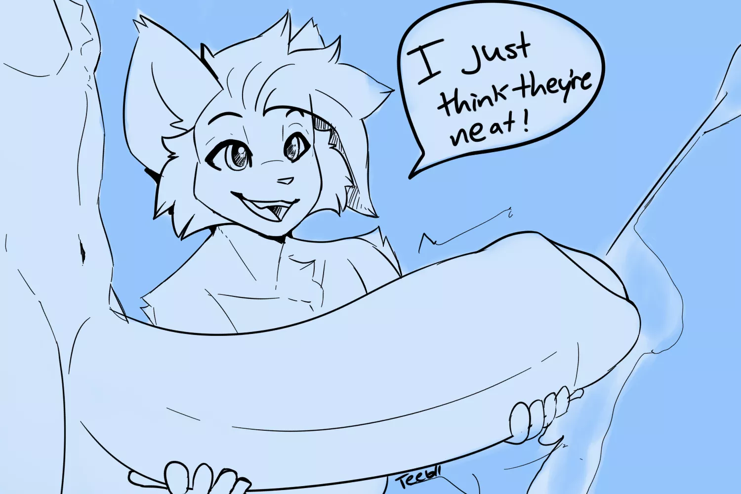 They're just neat (Teebll)