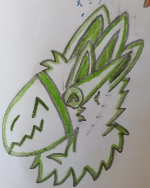 What do you do while having a free time in school? (By me)