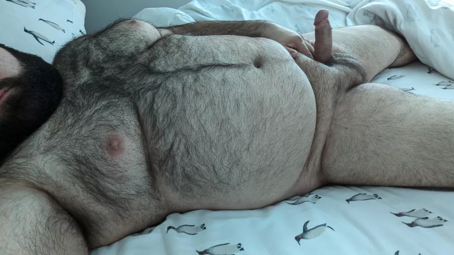 Would I make a good hairy valentine?