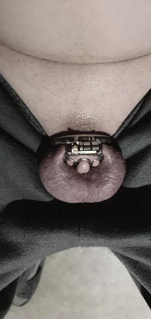 Yep that's a tiny cage.