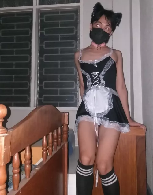 Your cute maid❤