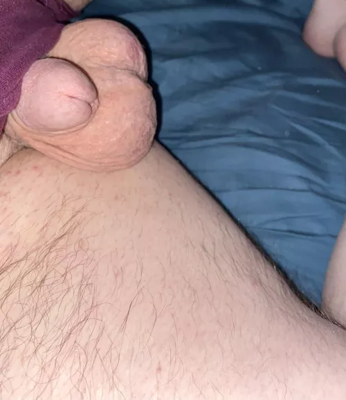 (54) Morning from Chadron,Neb.