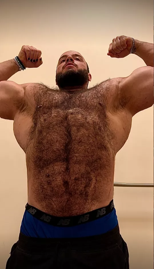 Bear Daddy