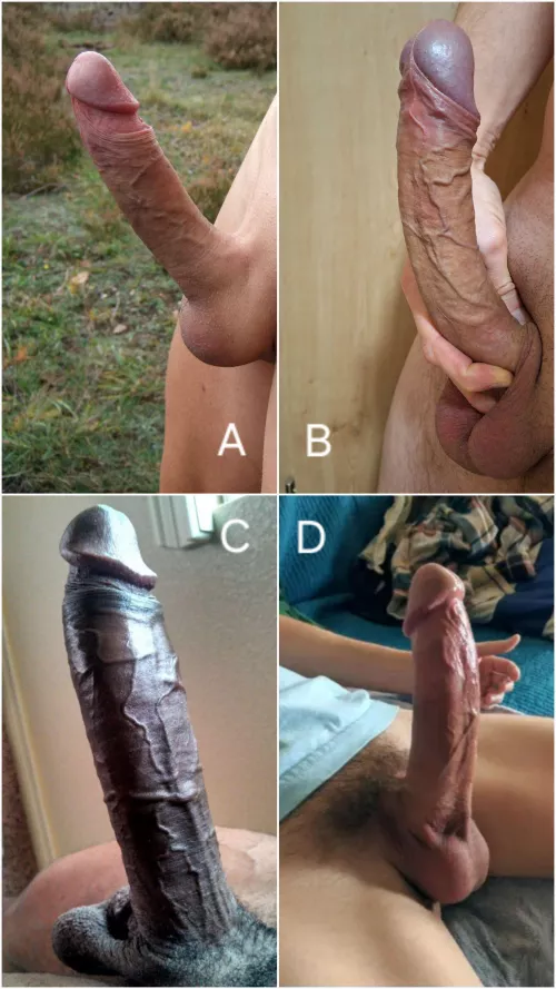 Choose one for pussy, one for ass, one for mouth and the fourth will be ignored ;)