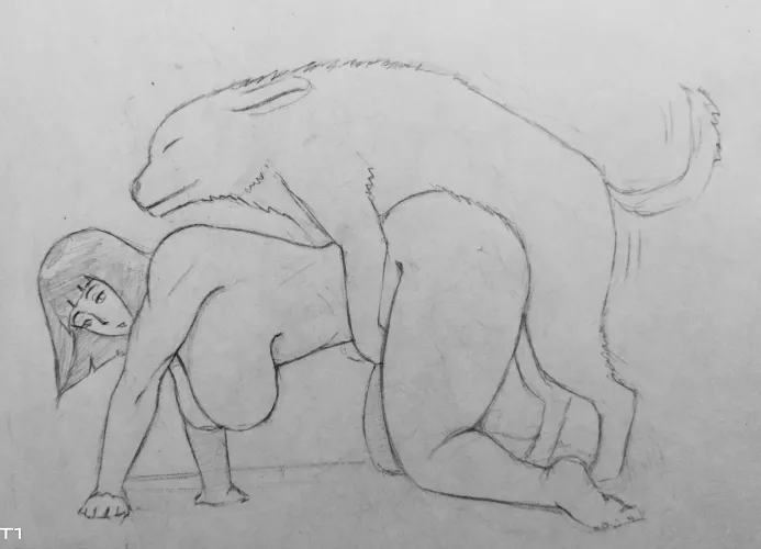 Desparate Hinata let's Akamaru fuck her