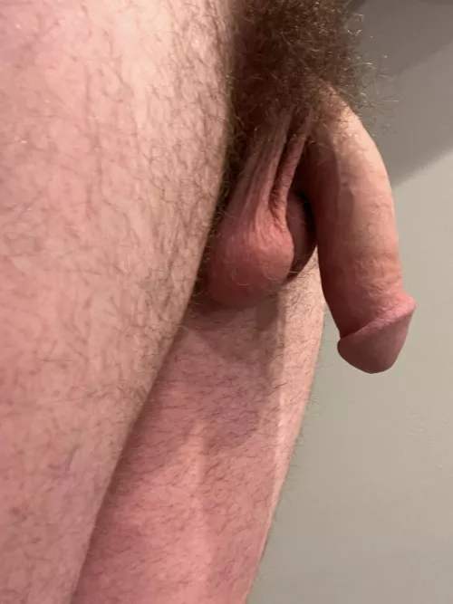 Do y'all think I should shave it? I would love to chat and trade with everyone!