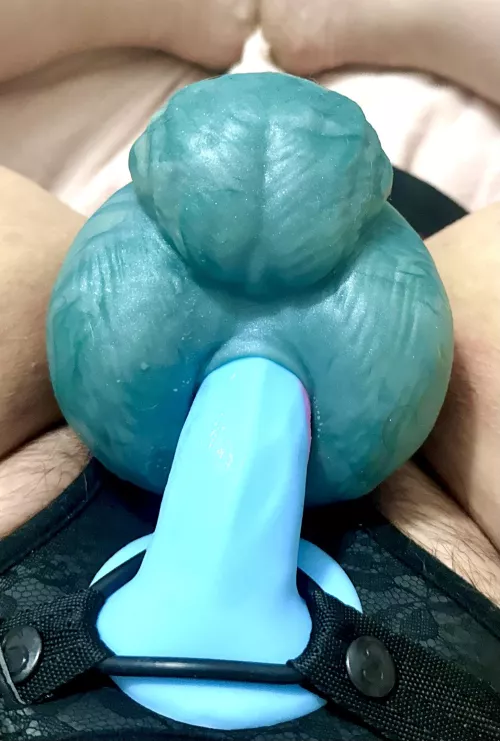 Enjoying a fun little evening with Snowball. He does have such a pretty little backside and goodness knows I love that about him as much as I love stuffing him!