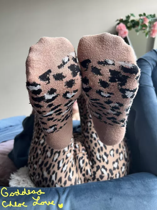 [F]23 I am starting to like animal prints