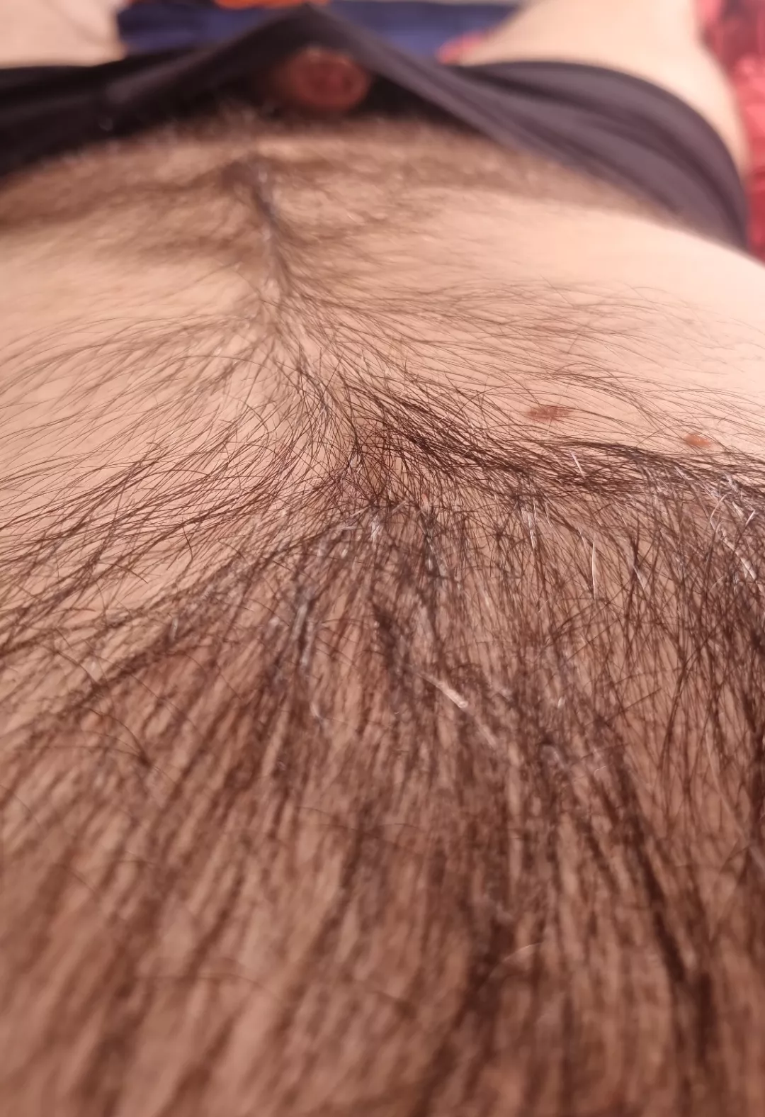 Follow the trail to the cave