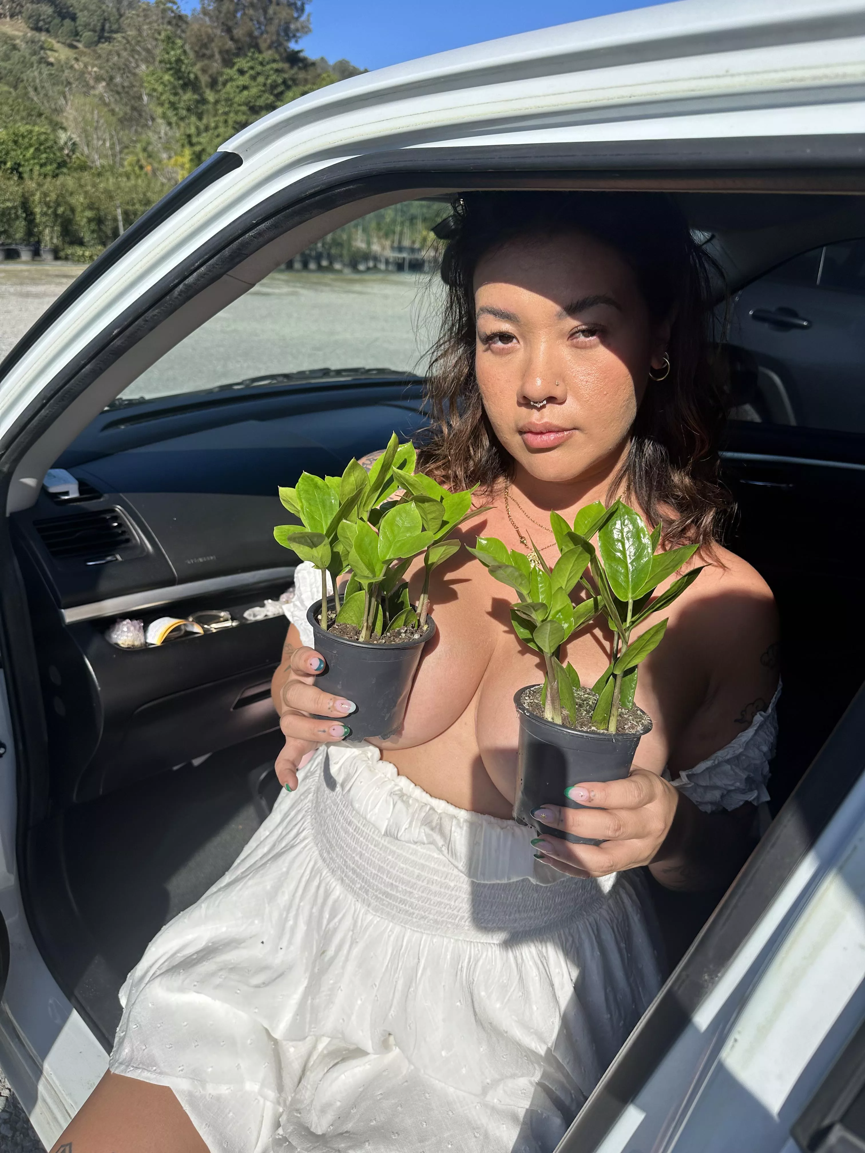 Got some plant shopping done
