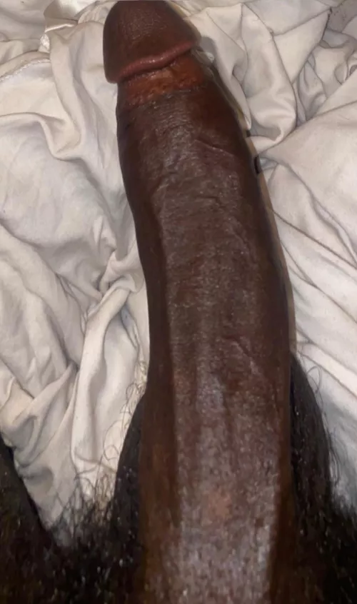 How You Gon Serve Your King During Black History Month 💪🏿🤴🏿🍆?