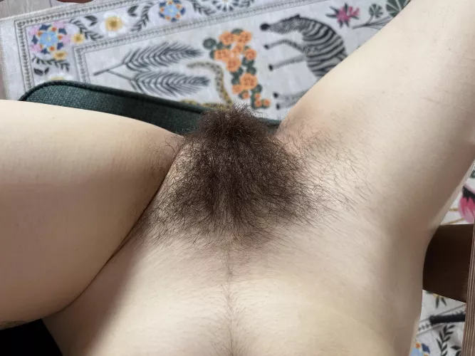 I wonder if hairy pussy tastes better before or after a shower