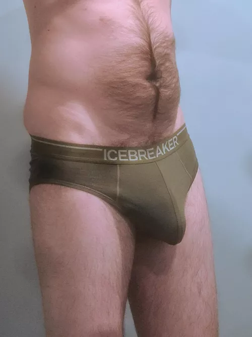 Icebreaker briefs