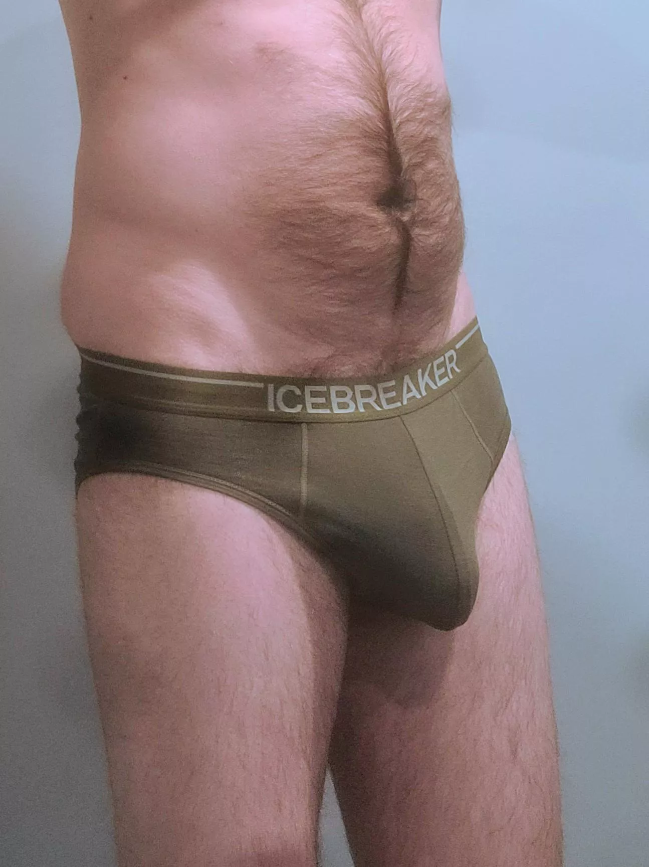 Icebreaker briefs