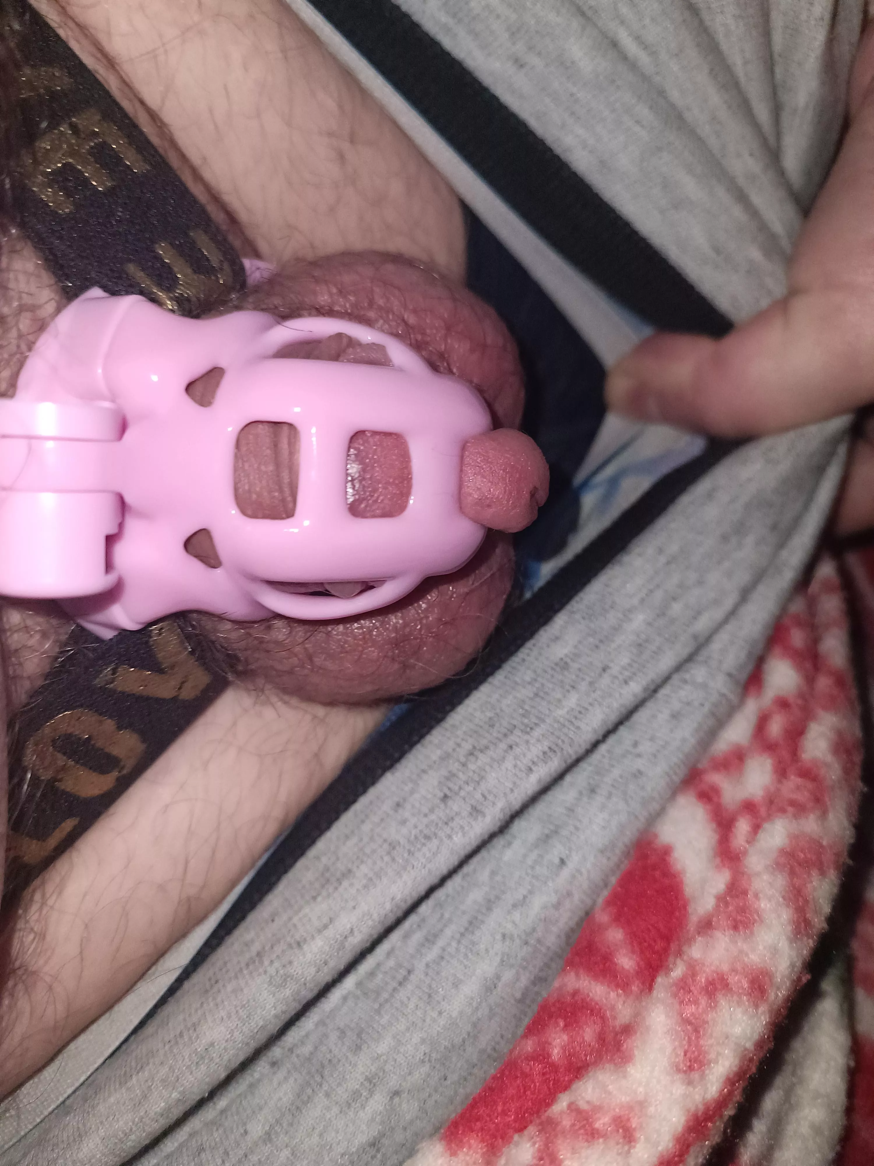 Is my cage not the right size?