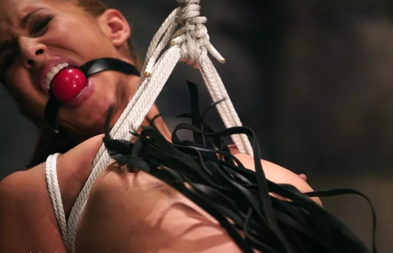 Isis takes a flogging