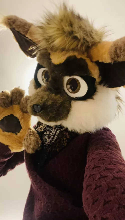 Looks like someone is late for Fursuit Friday!