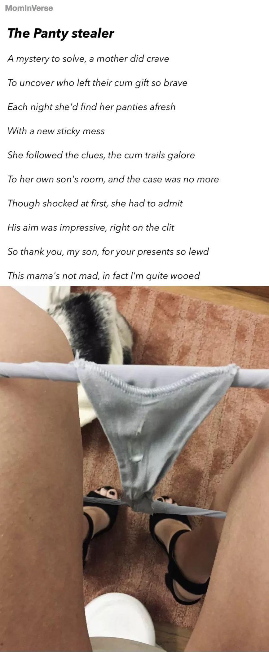 [POEM] The Panty stealer