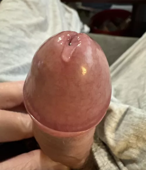 Posted some pics and now dripping