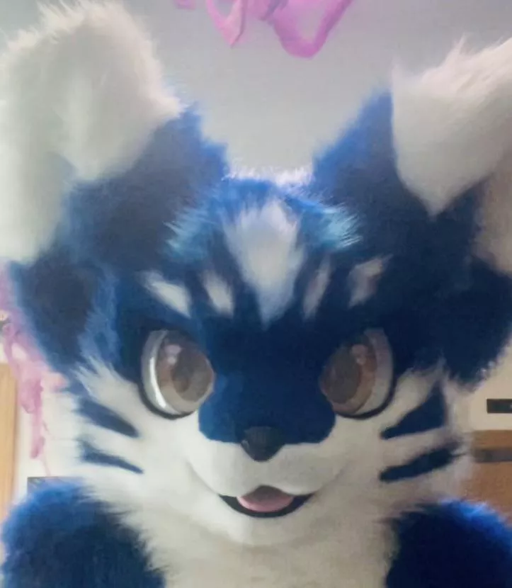 Question about my suit