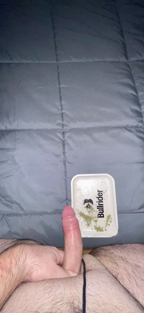 Saturday night (m)eaty dick