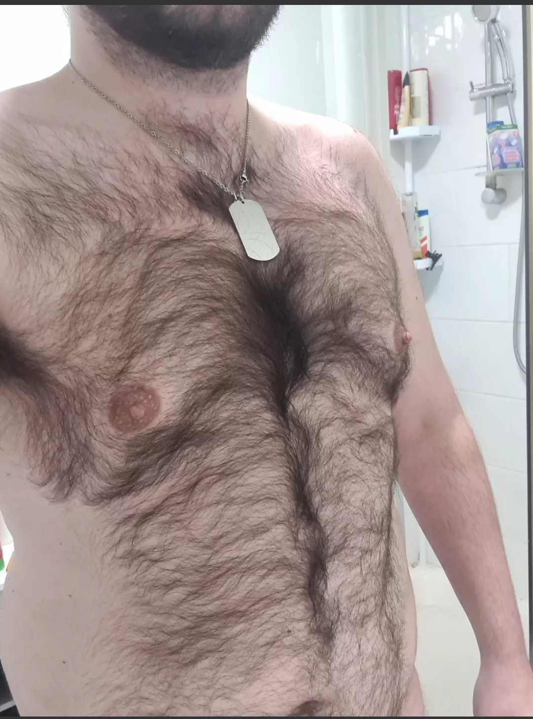 What you think of my bear bfs chest