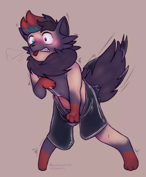 Zorua TF (M->M Pokemon)