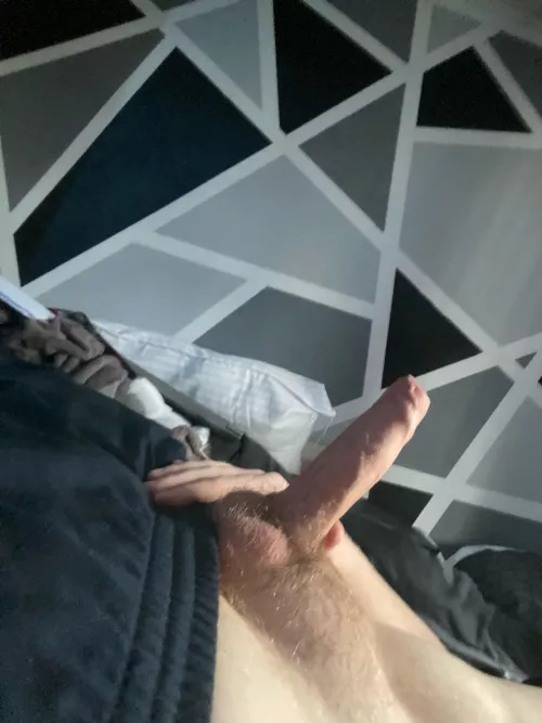 18 vers sc sillymush I’ll do anything